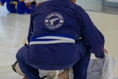 Team Tooke Bjj Logo